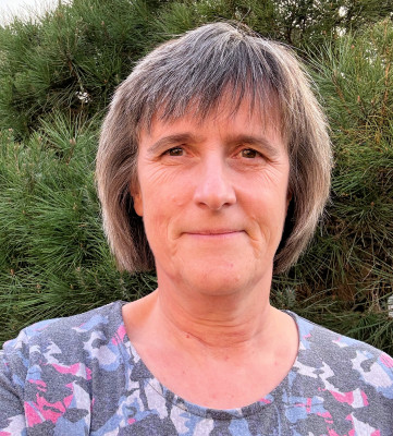 Prof Steffi Krause