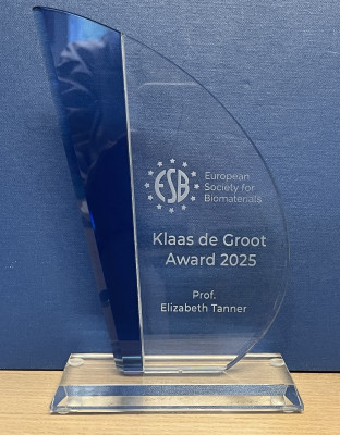 click/tap to enlarge this image... Liz's Award now in her office in the Engineering Building.