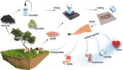 Queen Mary researchers develop edible and recyclable electronics for sustainable …
