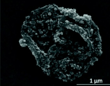 click/tap to enlarge this image... ‘Magnetically responsive’ microscopic drug carrier
