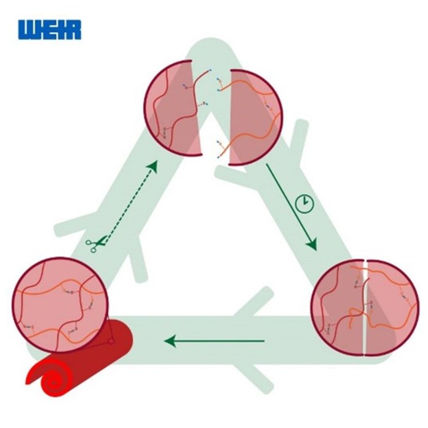 Organ-on-a-Chip