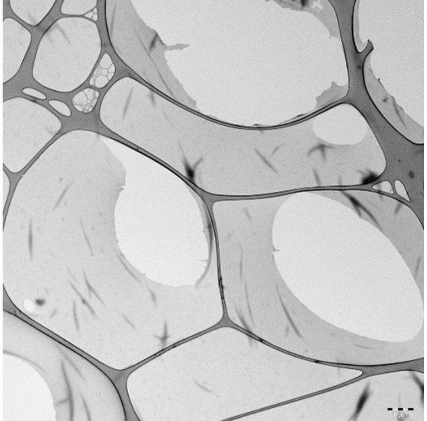 Protein Nanosheets