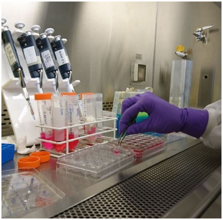 Biomaterials Innovation