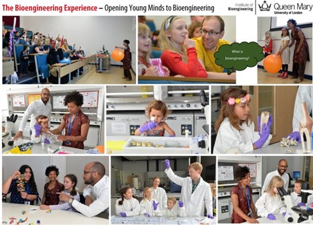 The Bioengineering Experience