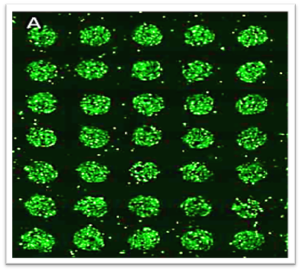 crispr