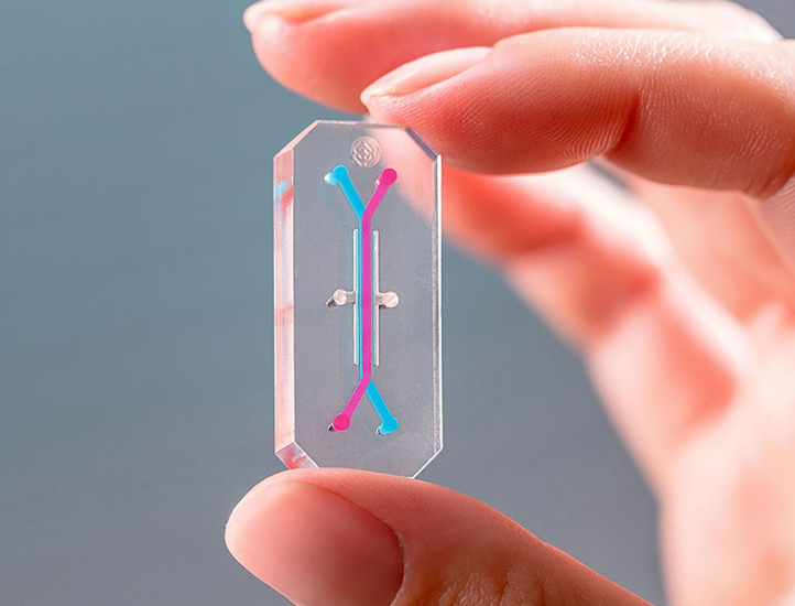 organ-on-a-chip