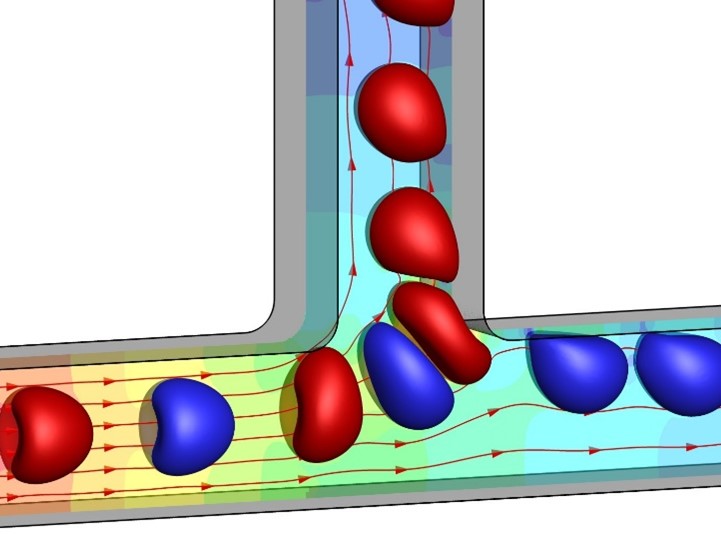 predcitive model