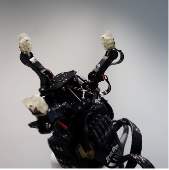 Manipulation and Grasping