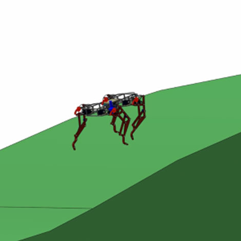 Legged Robots