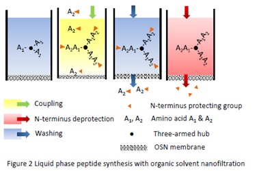 Re-imagining Peptide Synthesis