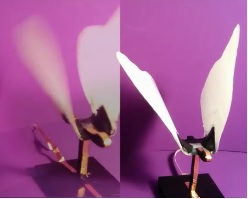 Robotic butterflies made of dielectric elastomer actuators