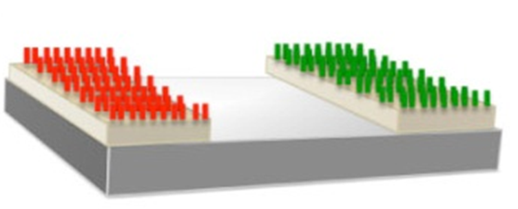 Asymmetrically functionalised electrodes