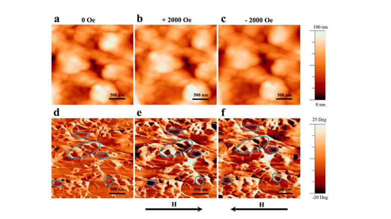 Ferroelectric domain switching under magnetic field in BLSF