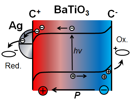 Influence of ferroelectric polarisation and metal nanoparticle decoration on charge separation in BaTiO3