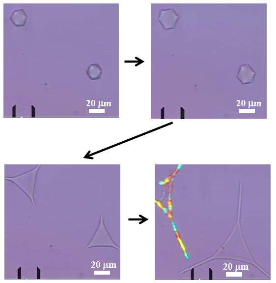 Bottom up structuring of liquids without external fields or molds. Manufacturing of anisotropic nano and micro- particles.