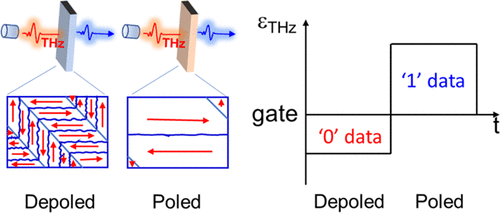 Terahertz Reading of Ferroelectric Domain Wall Dielectric
Switching