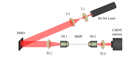 Bench-top single optical fibre microendoscope- IAA Large grant