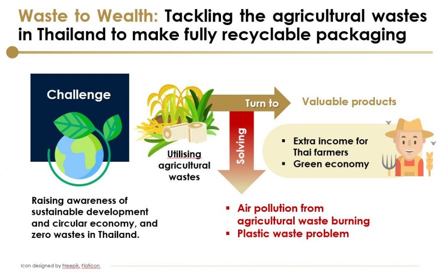 Newton Fund Institutional Links Grant: Waste to Wealth - Tackling the agricultural wastes in Thailand to make fully recyclable packaging