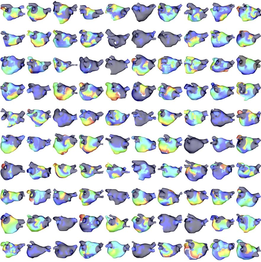 Pulmonary vein isolation across a cohort of left atrial models