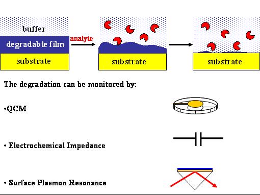 Principle of biosensor based on thin film degradation