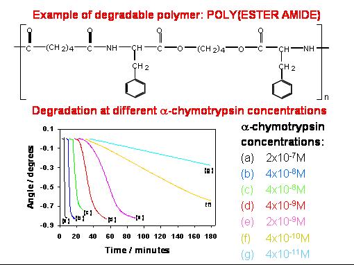 Degradation of poly(ester amide) at different ?-chymotrypsin concentrations: The rate of degradation depends on the enzyme concentration.