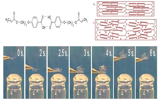 Polymer actuator showing reversible shape deformation in response to humidity.