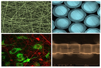 Multi-functional fibres for tissue engineering scaffolds are developed with photoembossed surface topologies and skin-core structures for added bioactivity.