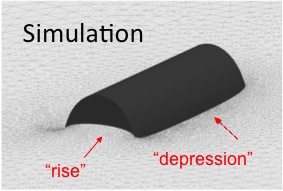 Fig. 1 A micro-cylinder embedded at the interface between two immiscible fluids. Because of the need to satisfy the contact angle at a complex-shape boundary, the cylinders induces a distortion of the interface.