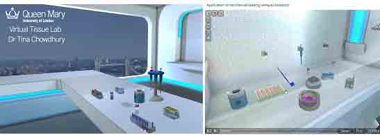 Screen shots detailing the methods utilised in the virtual lab. These are sophisticated techniques routinely used in the real bioengineering lab e.g. bioreactor system for culture of tissue engineered constructs
