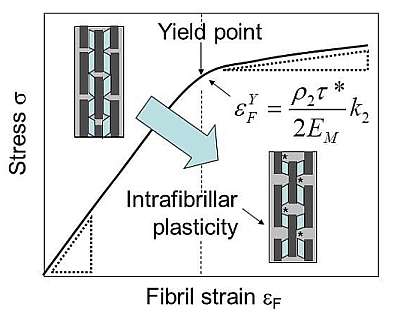 Onset of macroscopic inelasticity in mineralized fibrils of antler bone triggered by frictional sliding between mineral and collagen