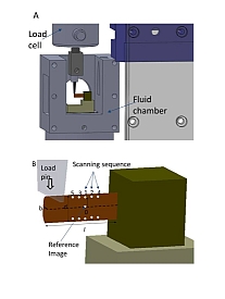 In-situ cantilever bending with synchrotron SAXS/WAXD 