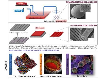 TSA using microfluidics (confined space) to precisely generate spherical capsular structures with monodispersed size. TSA of a multi-domain peptide in the presence of HA on topographically patterned soft substrate to fabricate freestanding thin membranes. 