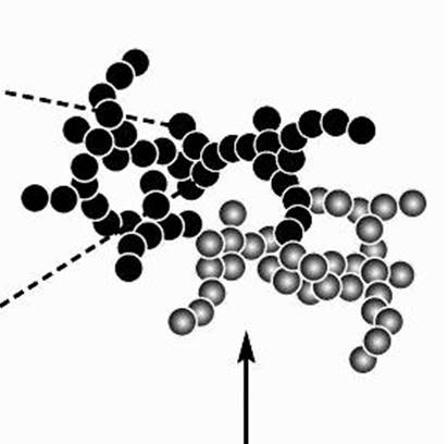 Flocculation model