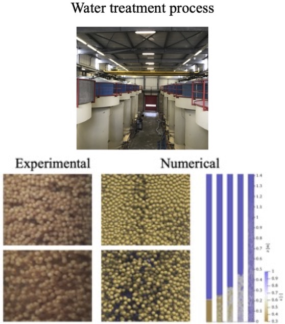 Experimental and modelling of water treatment