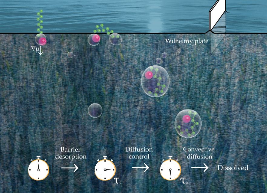 Schematic of adsorption on fluid surfaces