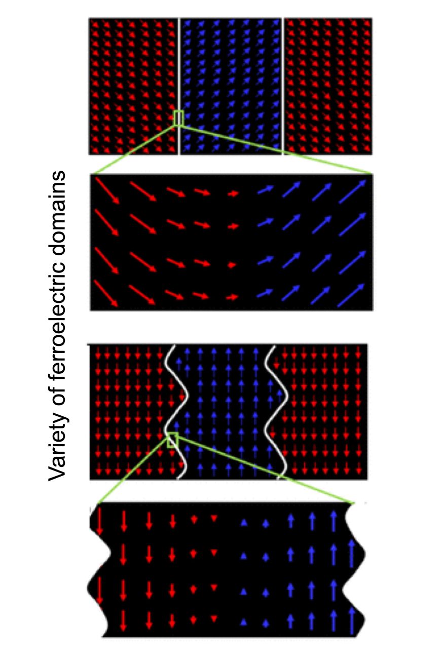 ferroelectric domains